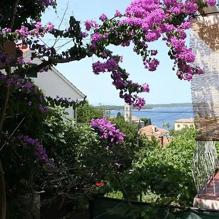 게스트하우스 And With Parking Space Hvar - 4613